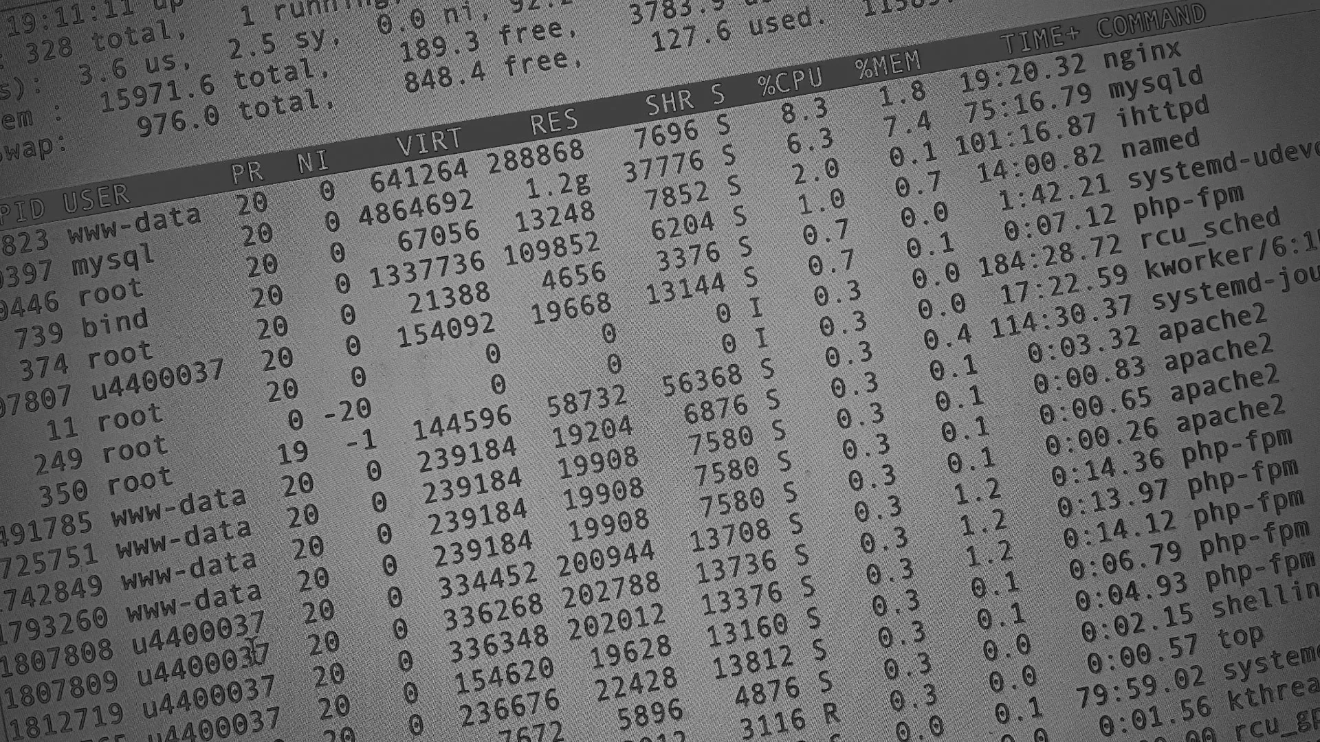 Настройка сервера в Ядрине